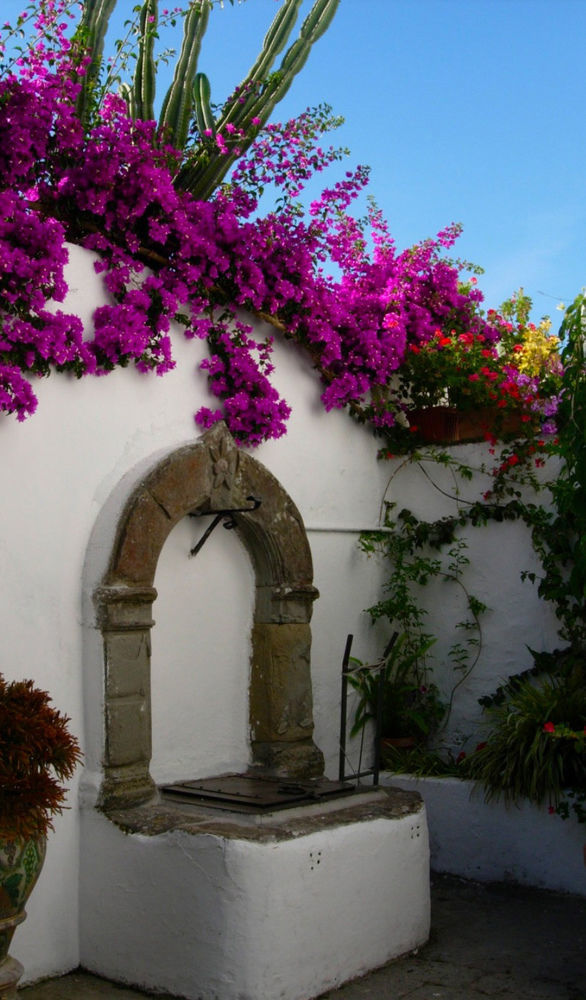 Capri Myhouse 3 Apartment Anacapri  Exterior photo